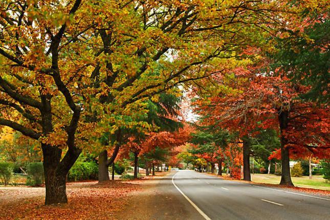 Wood Street Central - Central Location! Брайт Экстерьер фото